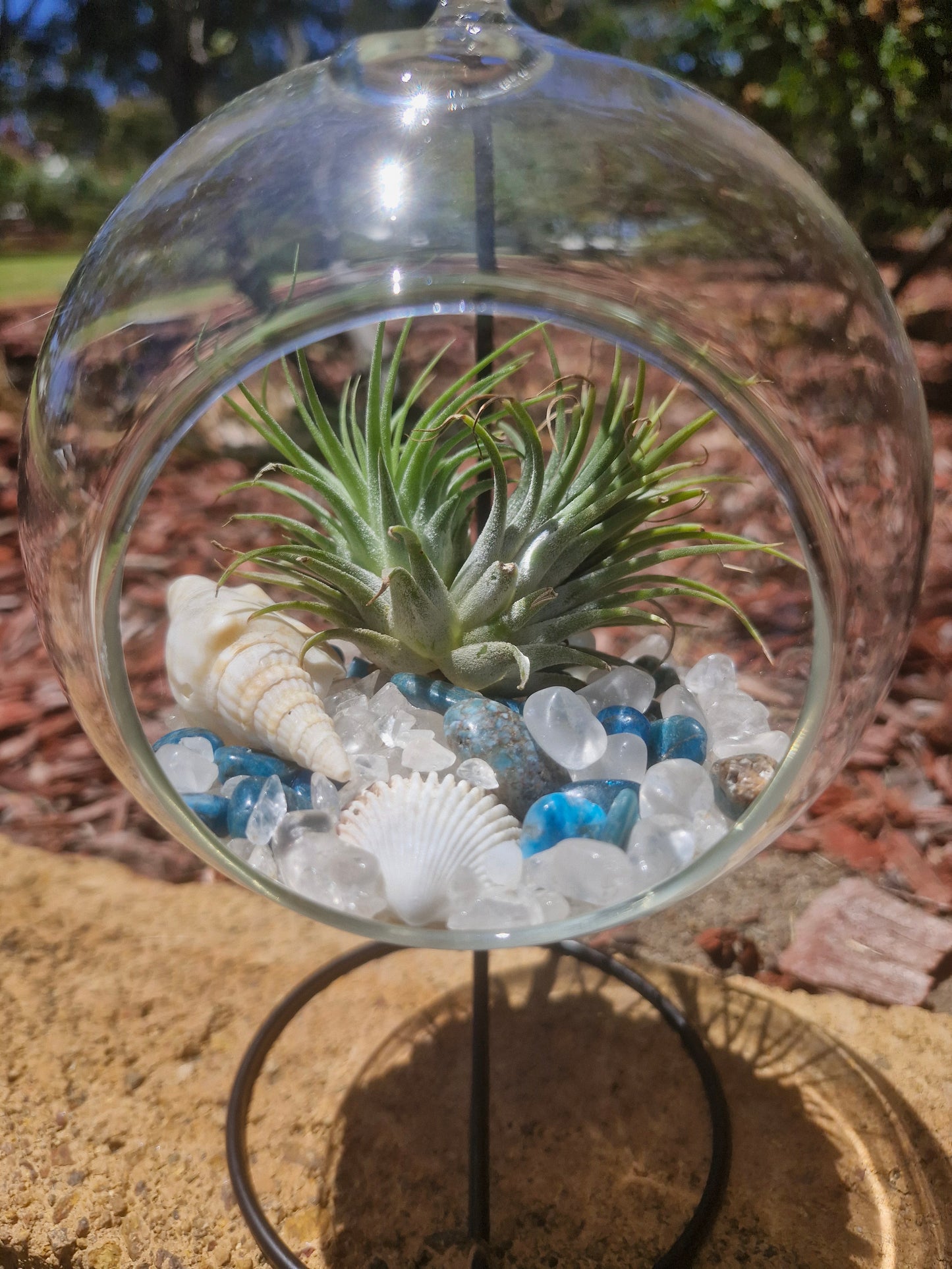 Clear Quartz + Apatite Tillandsias Terrarium