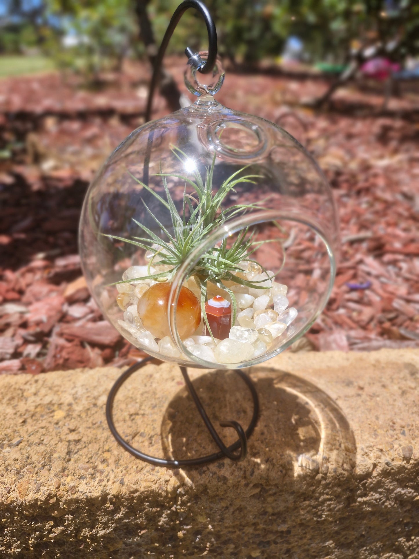 Carnelian, Citrine + Clear Quartz Crystal + Tillandsias Terrarium