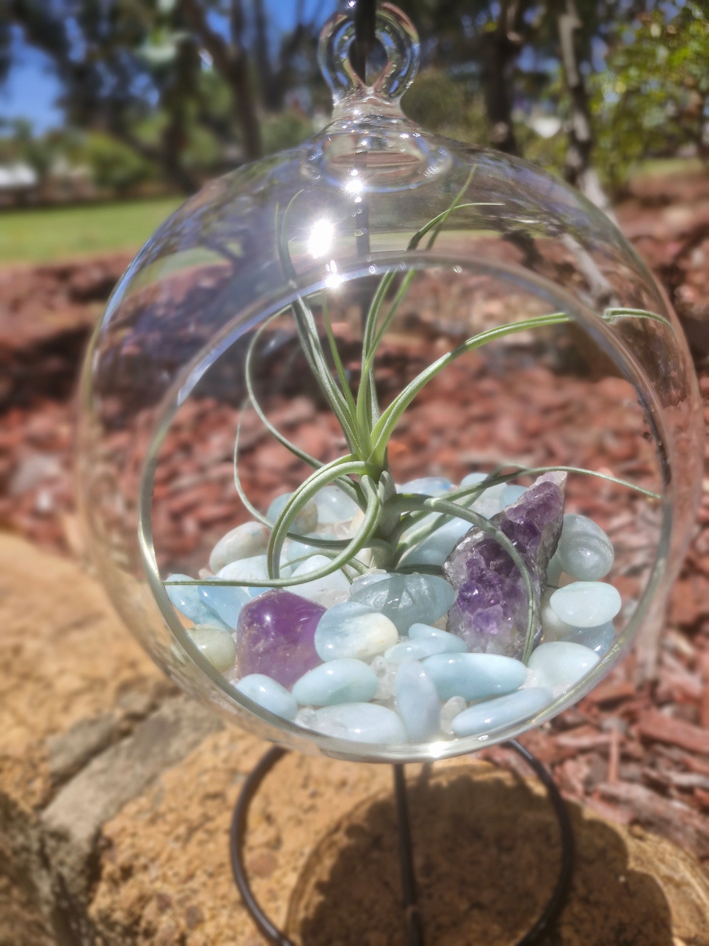 Aquamarine +Amethyst +Clear Quartz Crystal Tillandsias Terrarium