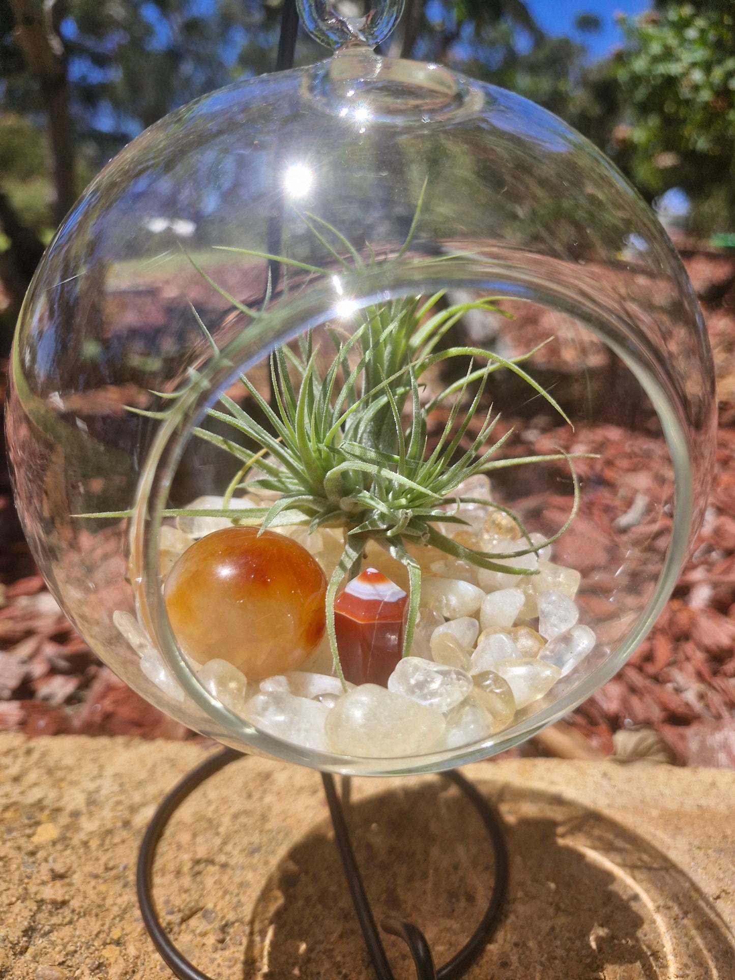 Carnelian, Citrine + Clear Quartz Crystal + Tillandsias Terrarium