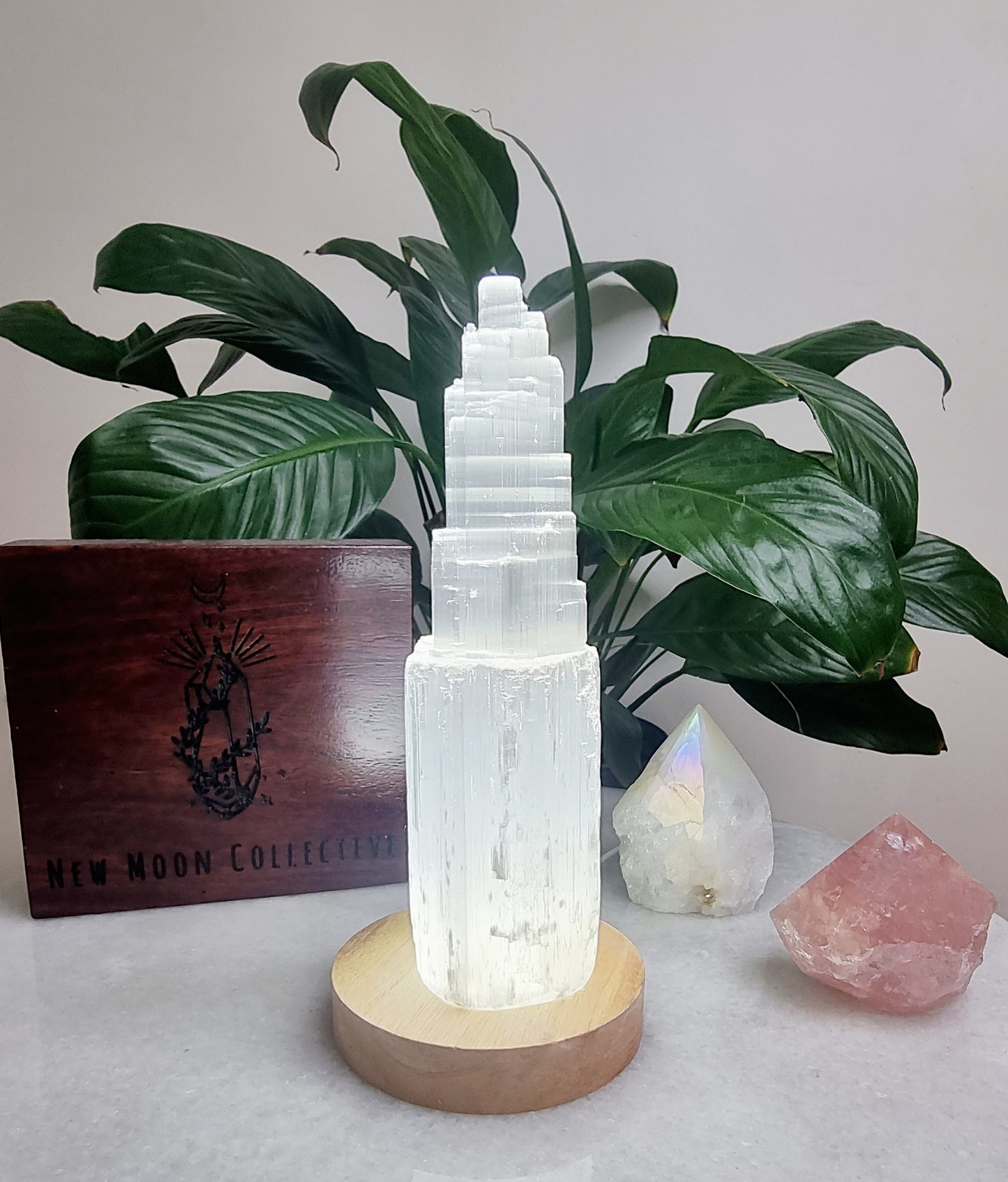 Medium Selenite Tower Crystal Lamp