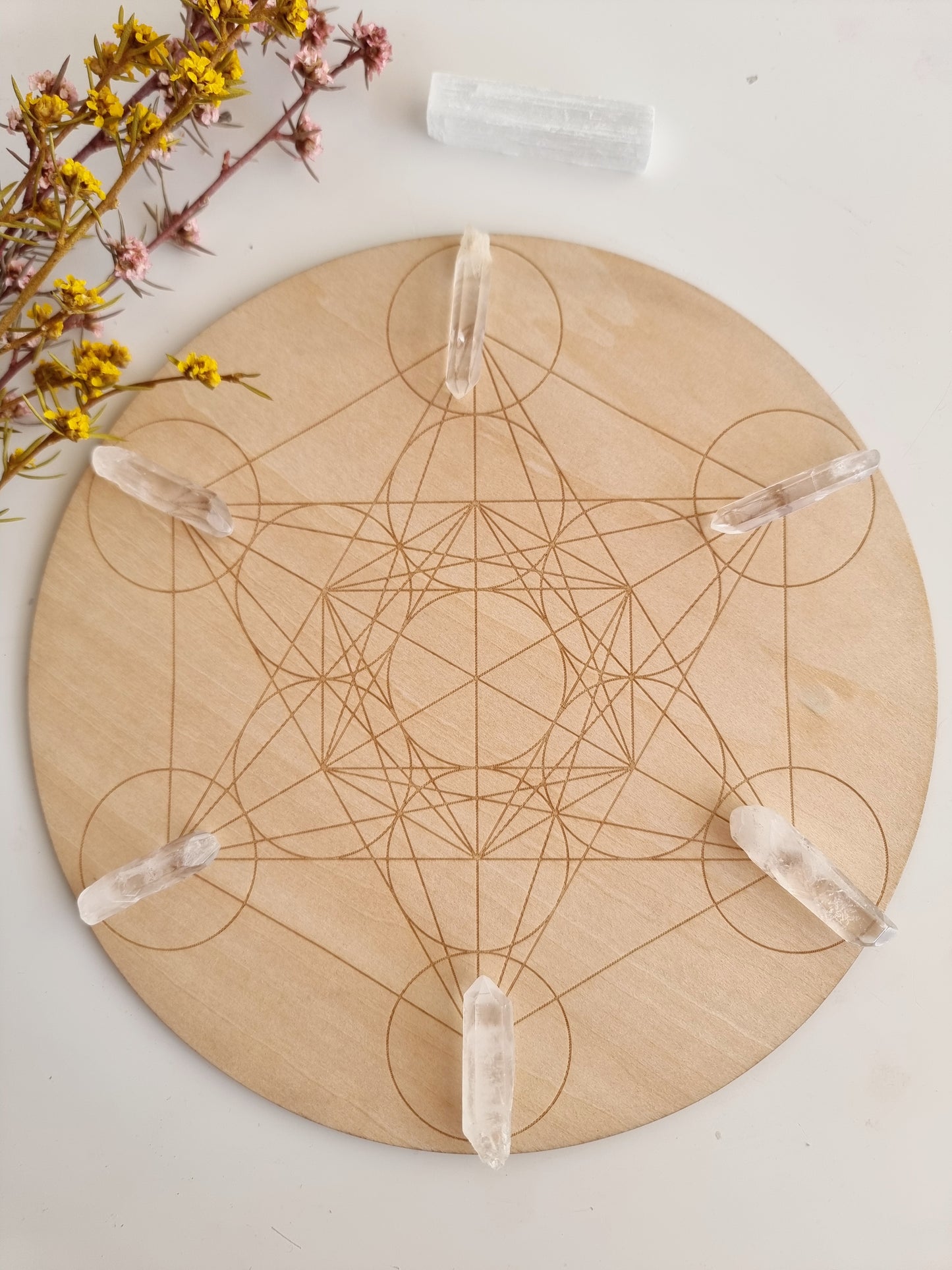 Metatron's Cube Crystal Grid