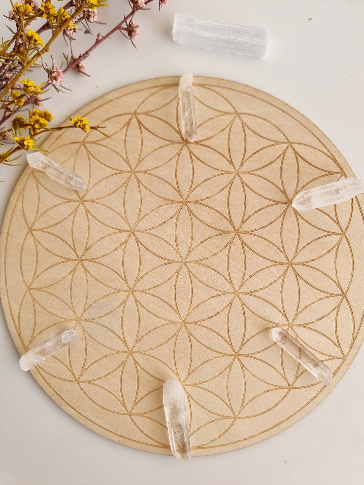 Seed of Life Crystal Grid
