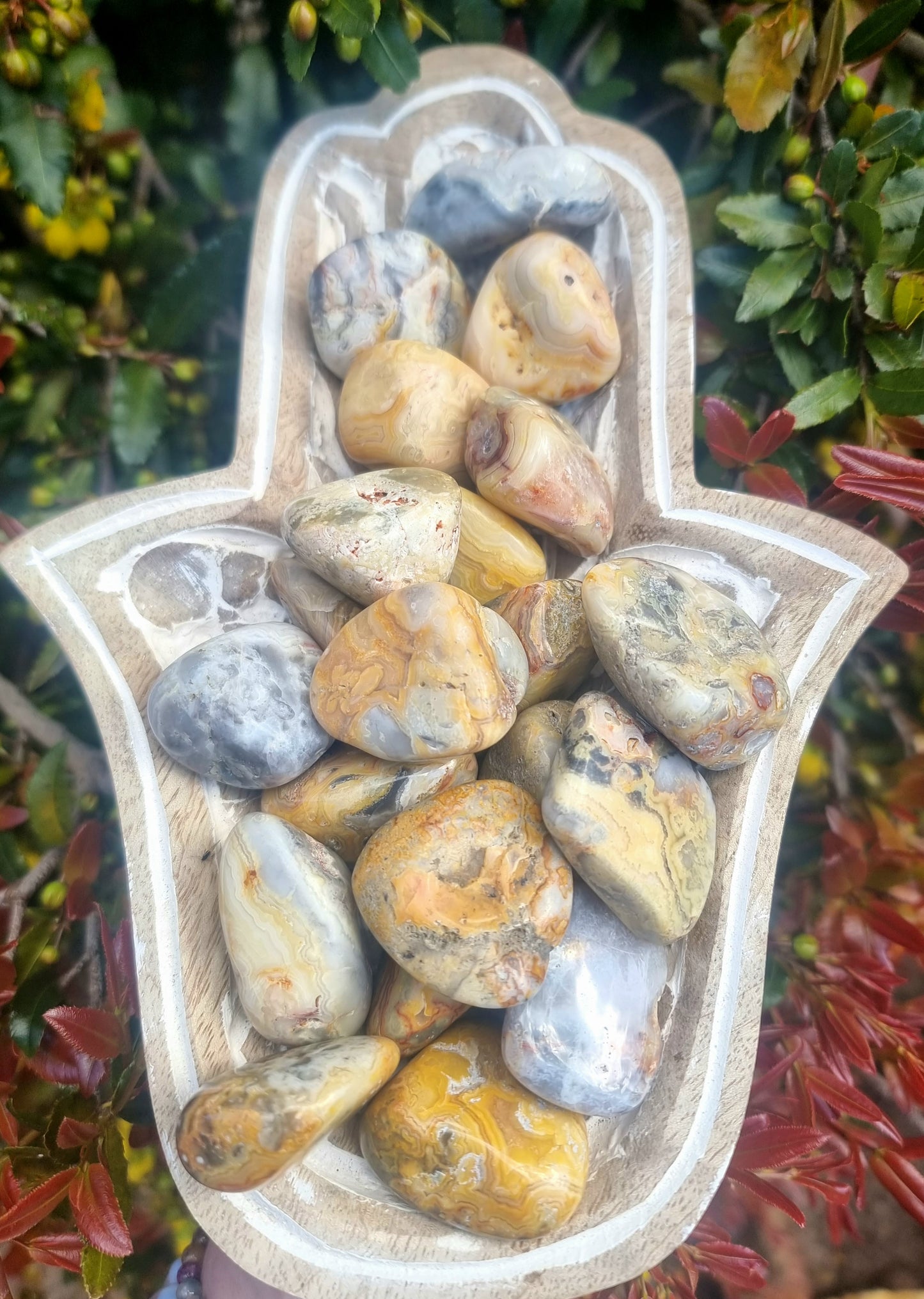 Crazy Lace Agate Large Tumble