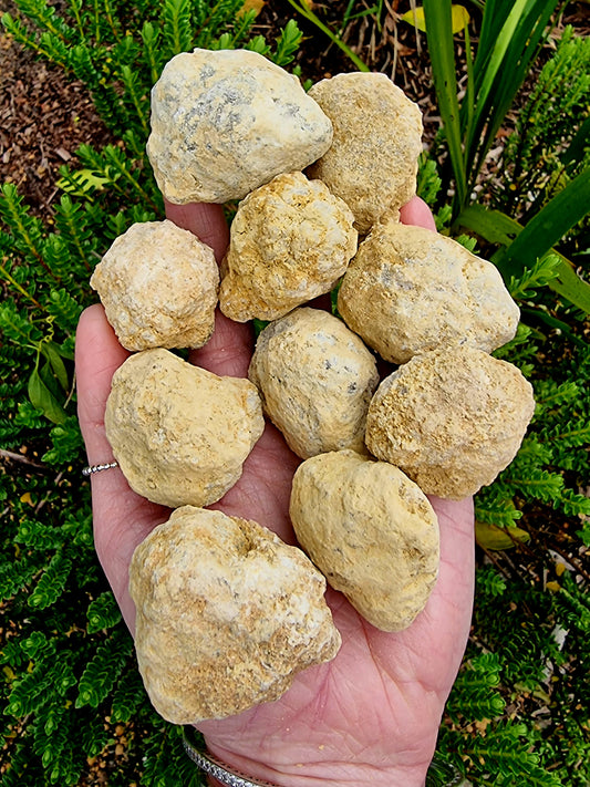 Crack your own Clear Quartz Geode