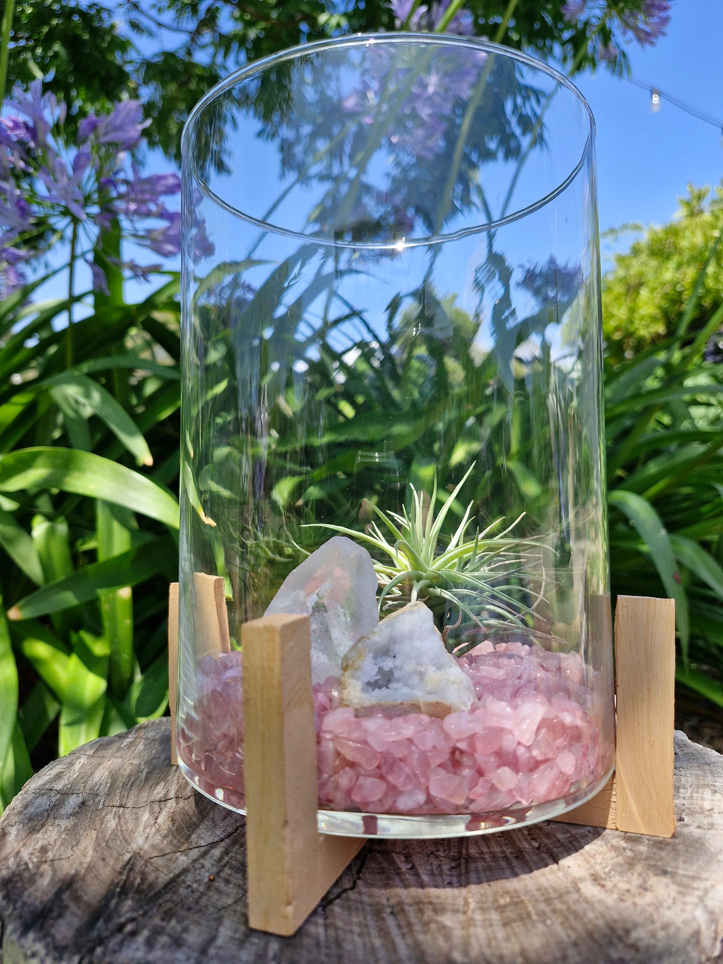 Large Rose Quartz + Clear Quartz Crystal + Tillandsias Terrarium