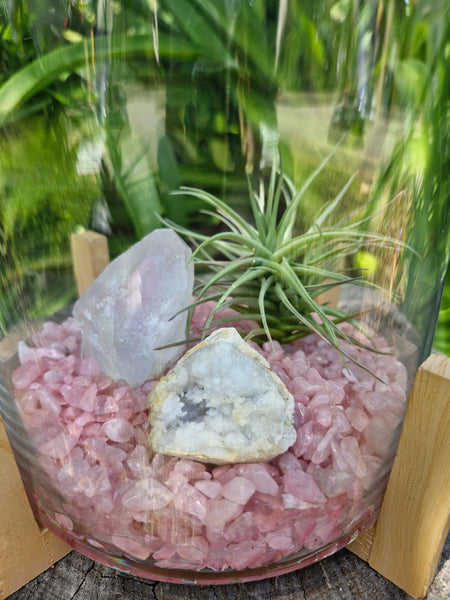 Large Rose Quartz + Clear Quartz Crystal + Tillandsias Terrarium