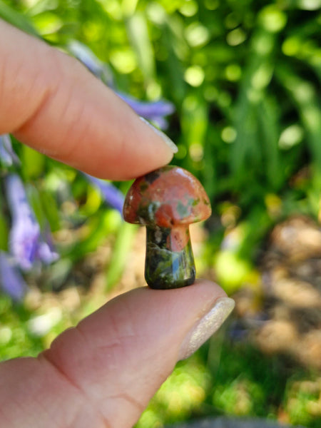 Mini Mushrooms