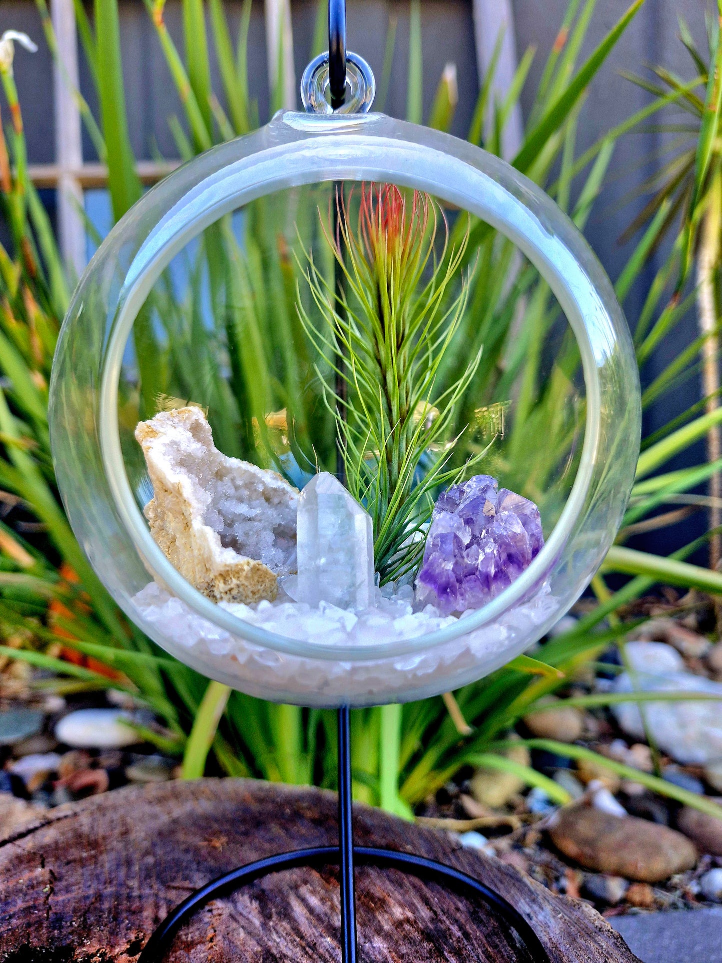 Clear Quartz + Amethyst Crystal + Tillandsias Terrarium