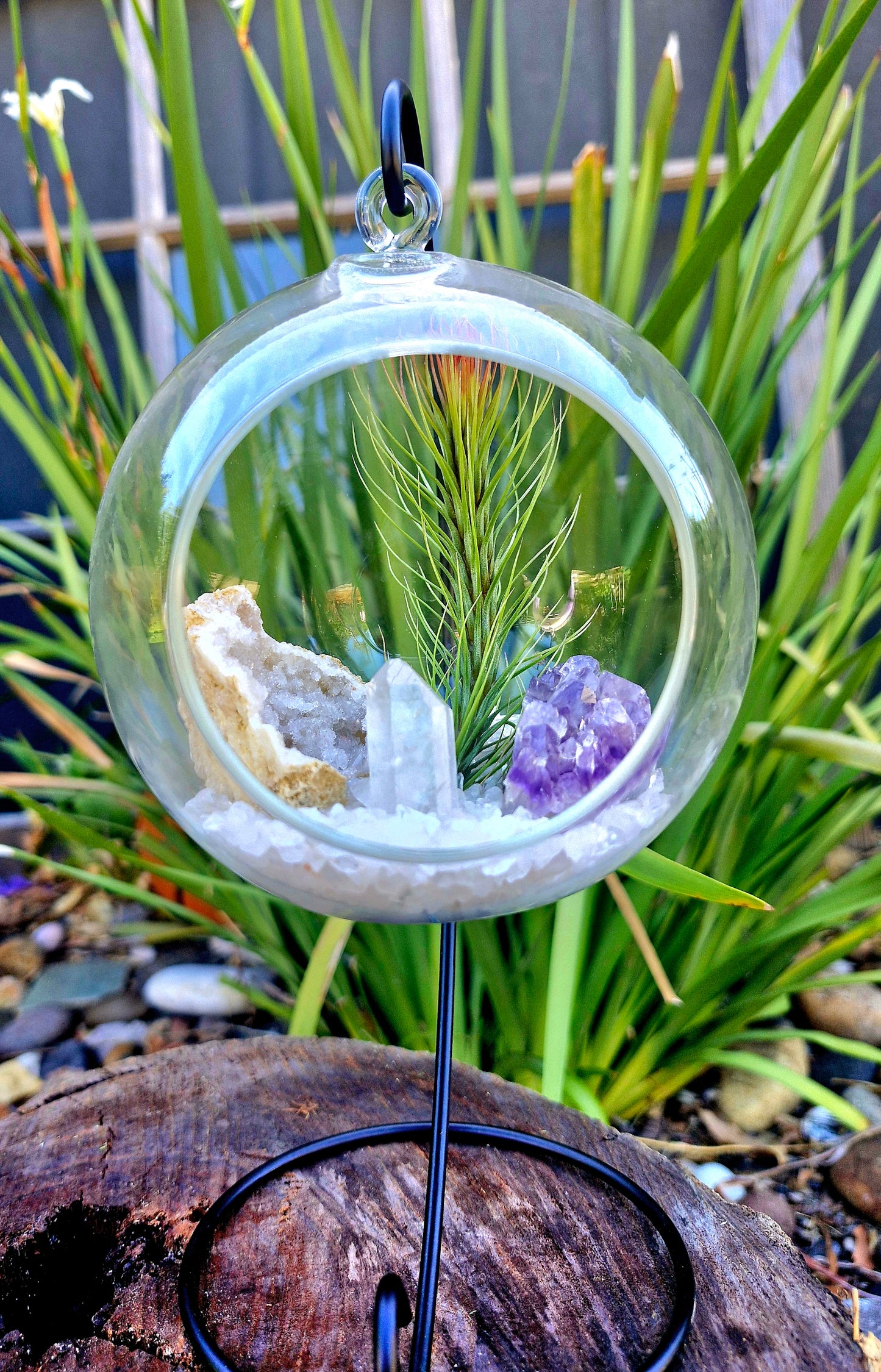 Clear Quartz + Amethyst Crystal + Tillandsias Terrarium