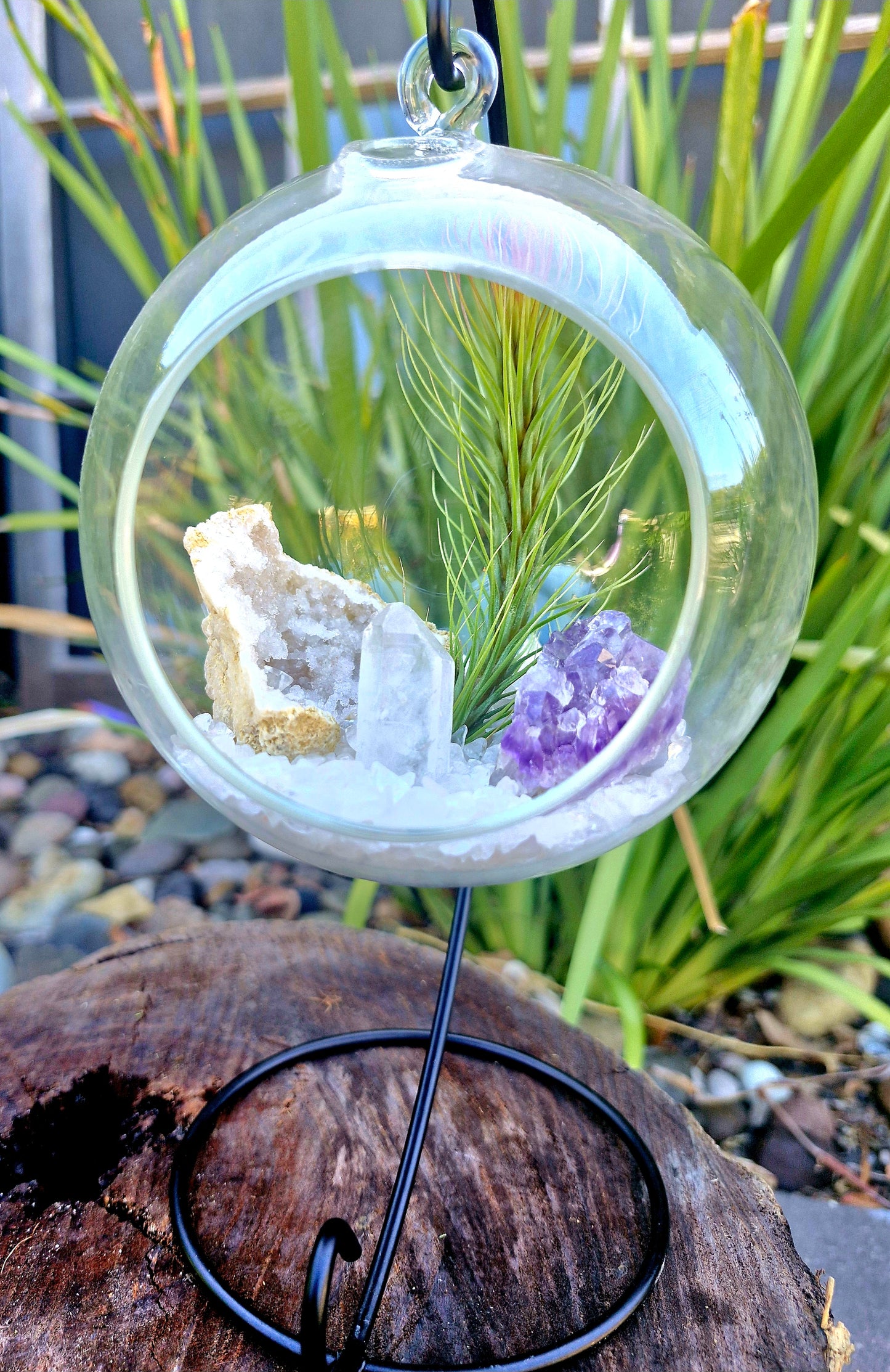 Clear Quartz + Amethyst Crystal + Tillandsias Terrarium