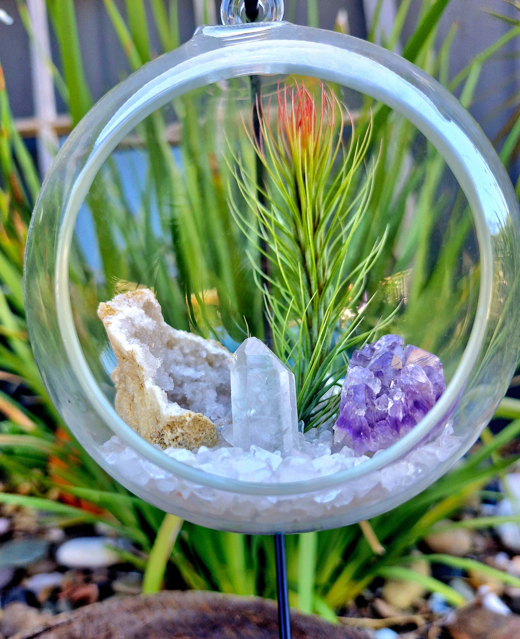 Clear Quartz + Amethyst Crystal + Tillandsias Terrarium