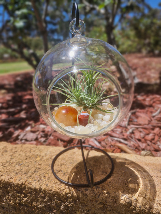 Carnelian, Citrine + Clear Quartz Crystal + Tillandsias Terrarium