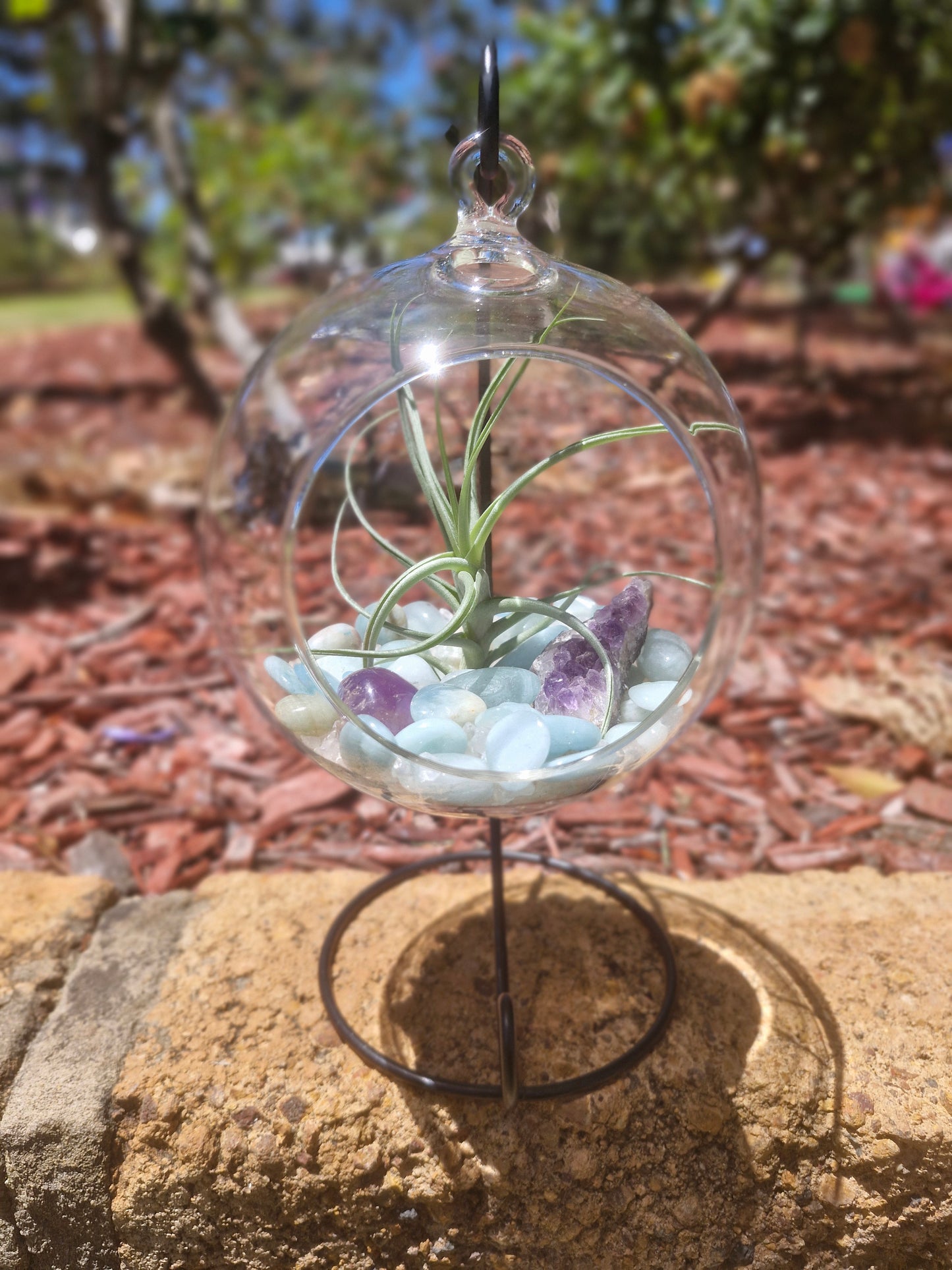 Aquamarine  +Amethyst +Clear Quartz Crystal Tillandsias Terrarium