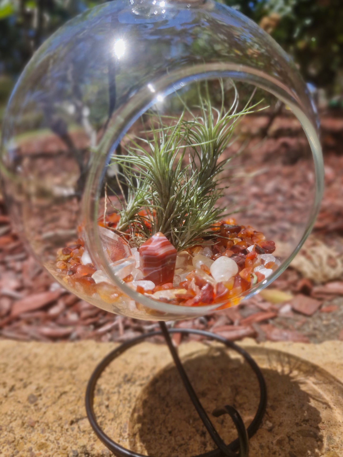 Carnelian, Citrine + Clear Quartz Crystal + Tillandsias Terrarium