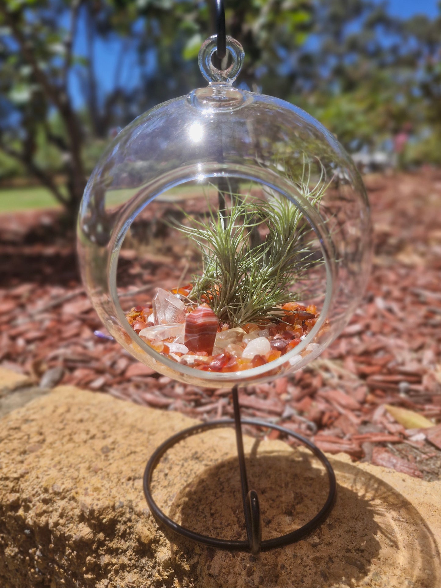 Carnelian, Citrine + Clear Quartz Crystal + Tillandsias Terrarium