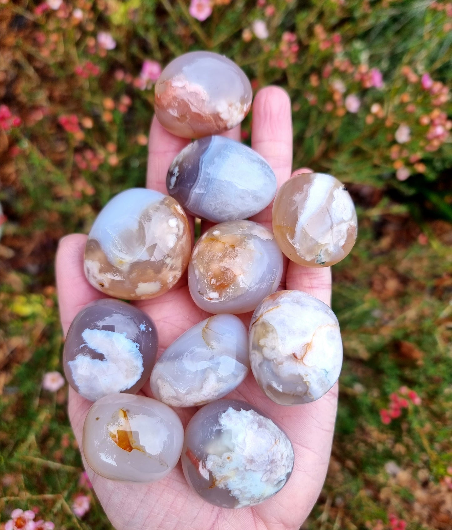 Large Flower Agate Tumble