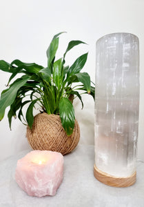 Large Selenite Crystal Lamp